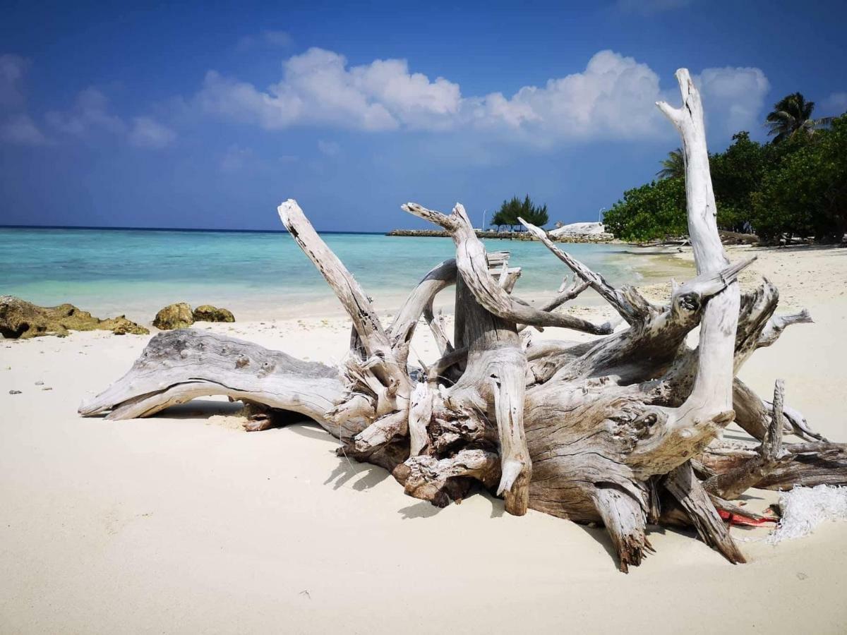 String Wave Maldives Guest house 2*